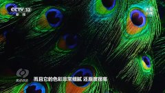<b>能够实现高精度的的、快速的、持续的办事</b>